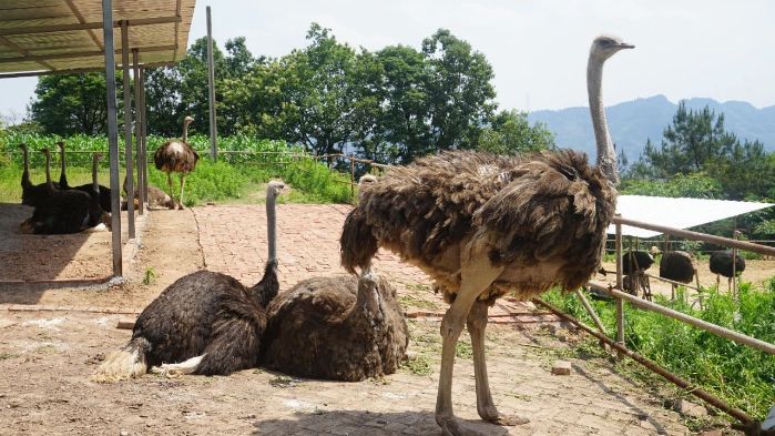 0fac3905e67c1b7919662dd2839ca019