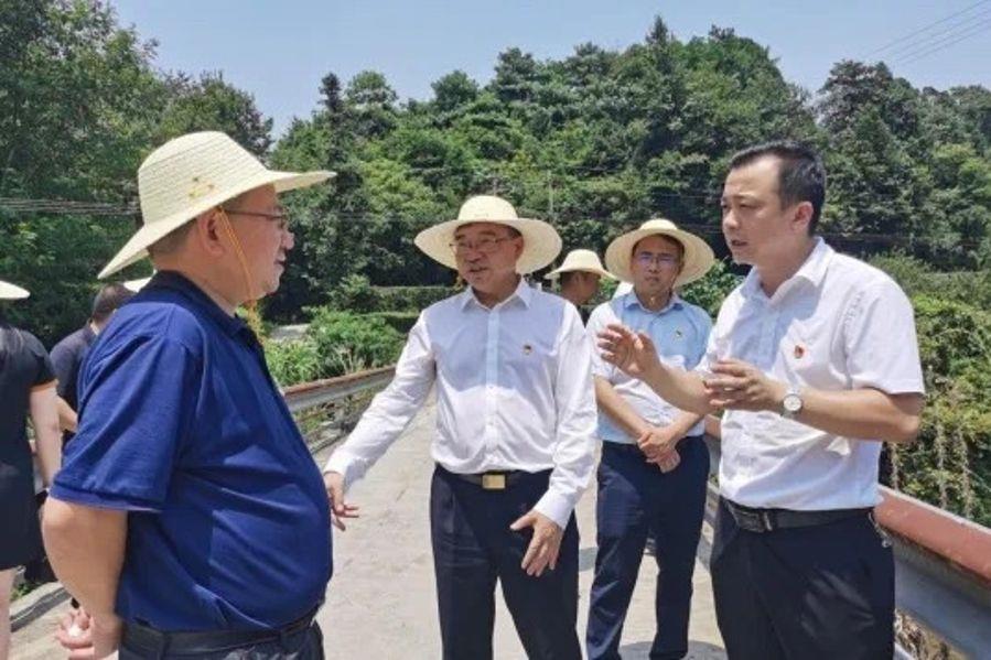 14015334121950540229