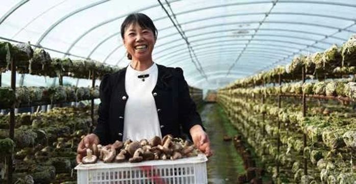 fa5a937b3a7283bcff9d8cd6fae7c40f