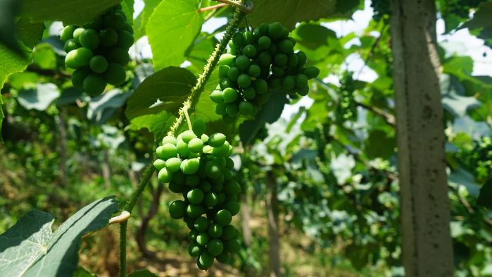 03d419887cc21b7c868fdc96a7dd75ec