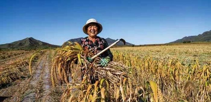 406c09c940108cb760275b7271b65f9d