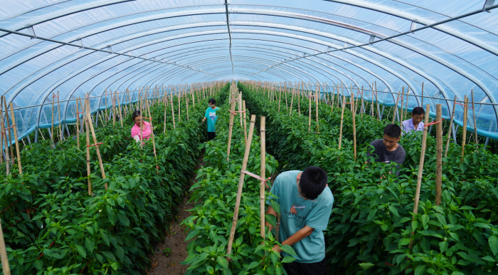 115f5ae68431b9cb26af9efe32060a0b