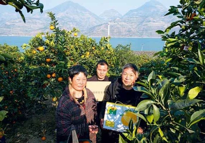 42847d37d02bafd2b84c0f09bb5f28dd