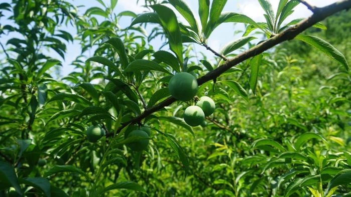 5fb4f616763d888fc75c8c7636f43737