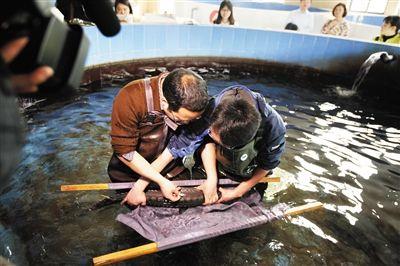 新华网：长江三峡放流3000尾大规格、高...