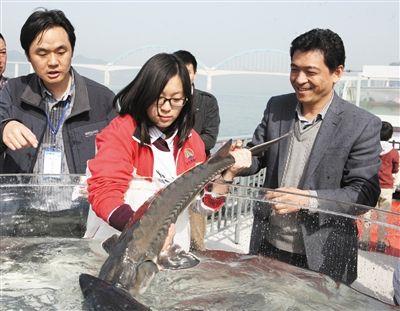 中国消费报：人工中华鲟投江练本事