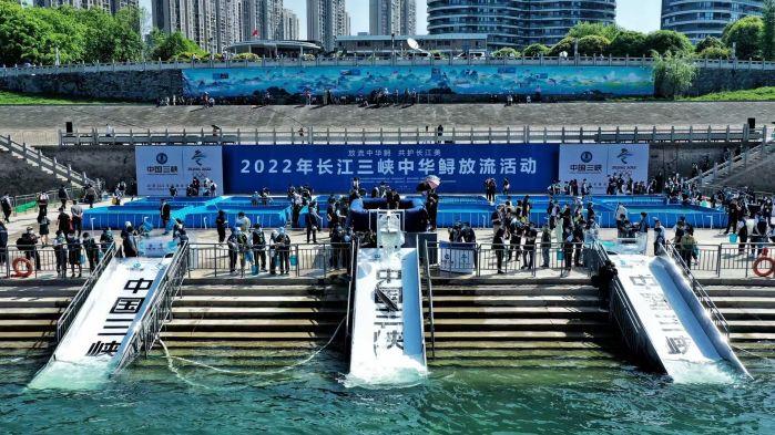 10618883741353631670(1) 10618883741353631670(1)