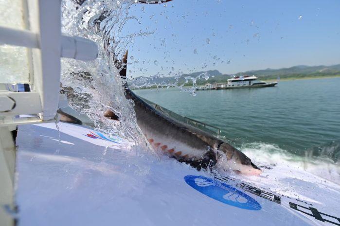 16949701100566346141(1) 16949701100566346141(1)