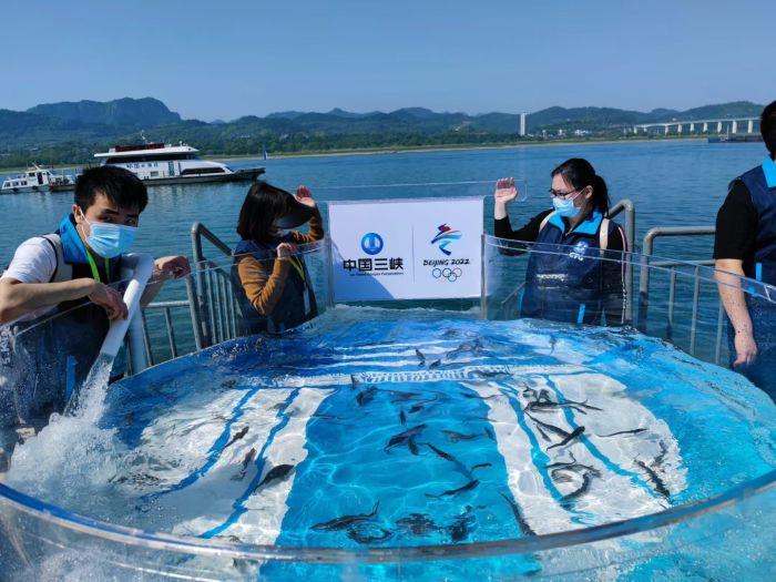 934364402978045868 934364402978045868